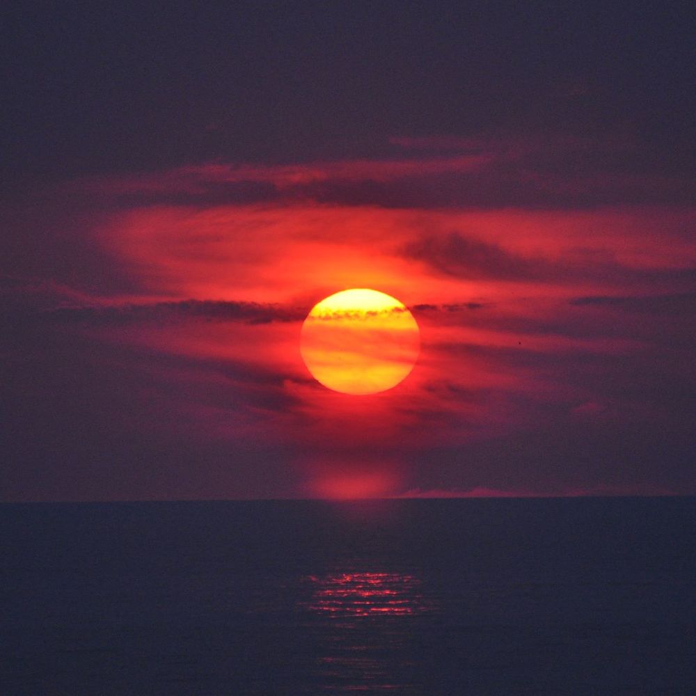 Meet your Posher, Ria